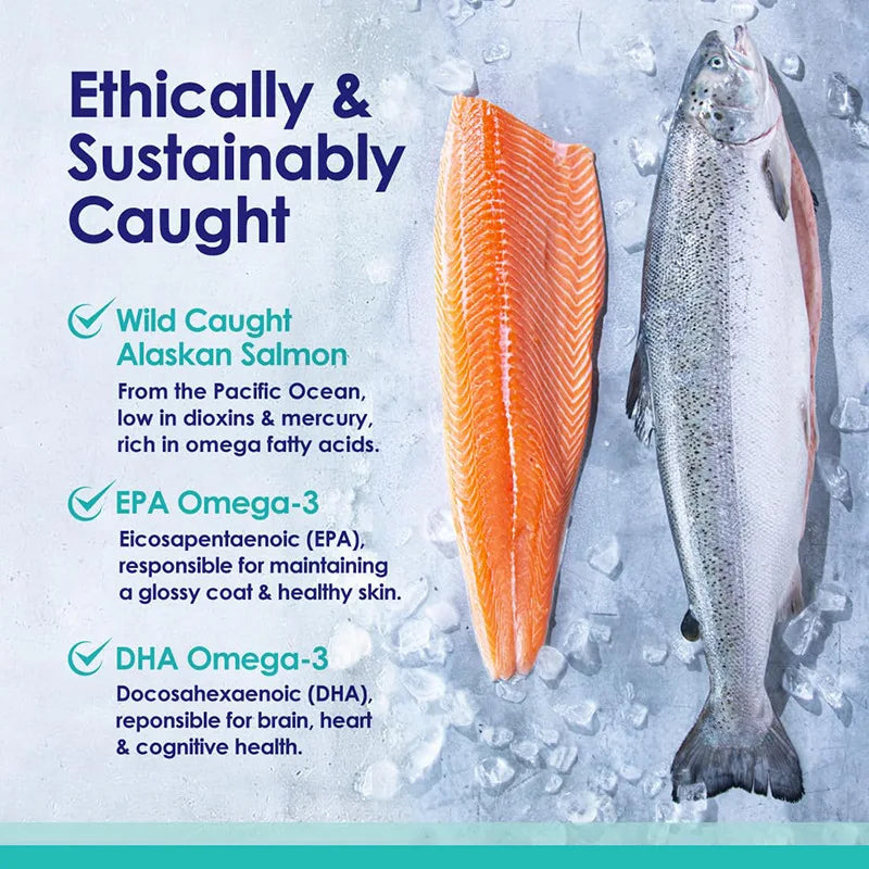 Aceite de Pescado Omega 3 para Perros, Capturado en la Naturaleza en Islandia, Suplemento para la Piel y el Pelo, para la Caída del Pelo, Piel Seca y con Picazón y Alergias