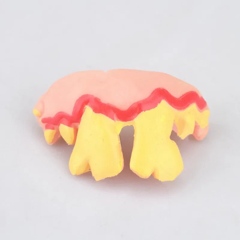 Dientes postizos para perros, dentaduras postizas divertidas, suministros de decoración para mascotas, Cosplay de Halloween, juguetes para humanos y vampiros, dentaduras postizas divertidas y difíciles