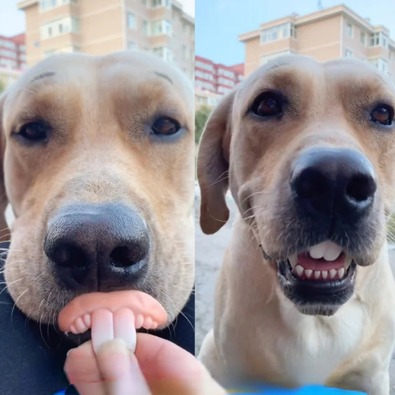 Dientes postizos para perros, dentaduras postizas divertidas, suministros de decoración para mascotas, Cosplay de Halloween, juguetes para humanos y vampiros, dentaduras postizas divertidas y difíciles