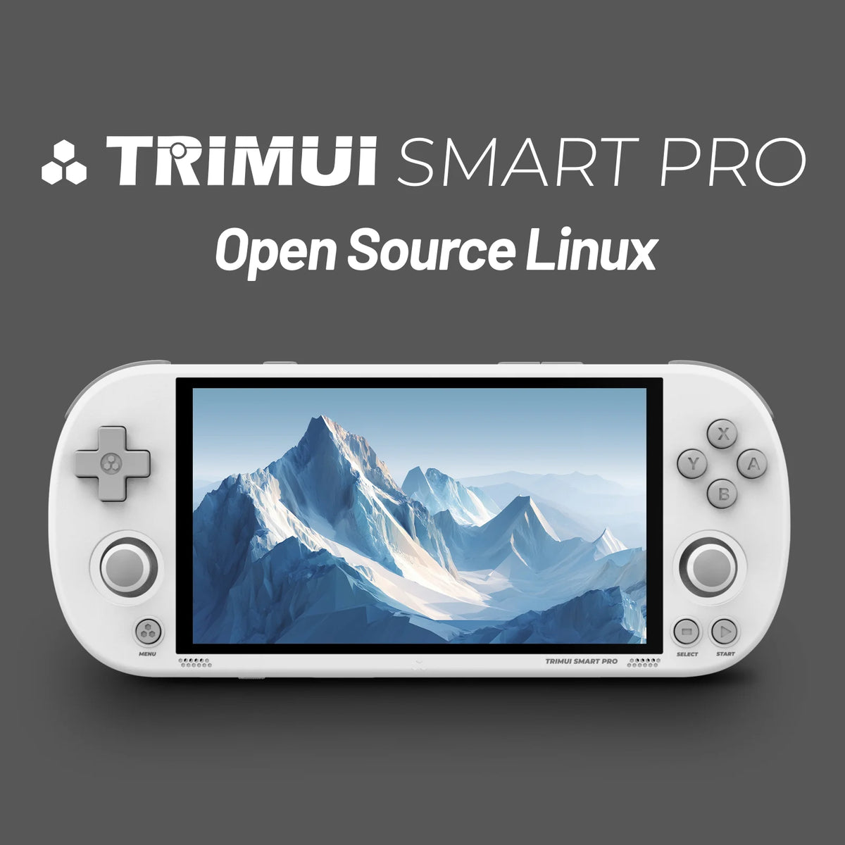 TRIMUI SMART PRO Open Source Retro Handheld Emulator 4.96''IPS Screen Linux System Smartpro Retro Video Game Player Gift