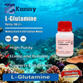 L-Glutamina para aplicaciones de cultura celular y investigación bioquímica Producto original